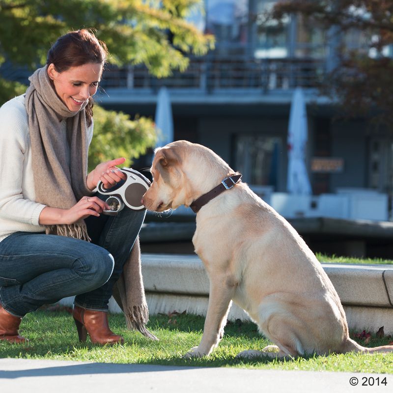 Person demonstrating use of a retractable lead with a large dog sitting outdoors, showing how to hold and operate the lead handle.