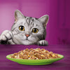 Whiskas 1+ Mixed Menu in Jelly || undefined || view 8