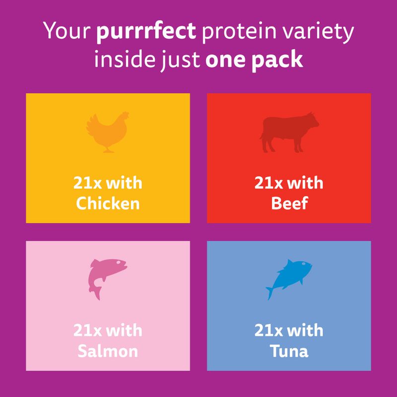 Whiskas 7+ Senior Mixed Menu Pouches in Jelly