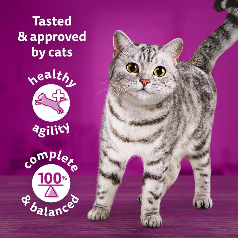 Whiskas 1+ Tasty Mix Chef's Choice in Gravy || undefined || view 3