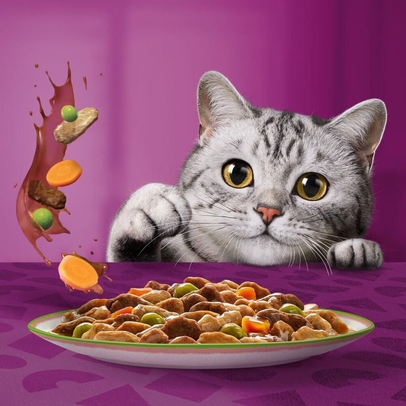 Whiskas 1+ Tasty Mix Chef's Choice in Gravy || undefined || view 7