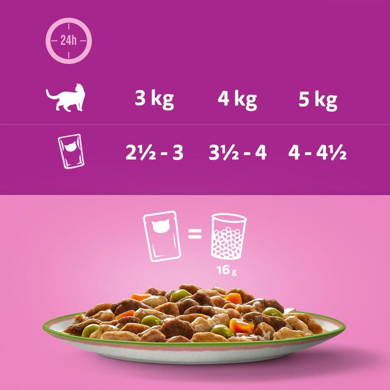 Whiskas 1+ Tasty Mix Chef's Choice in Gravy || undefined || view 6