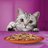 Whiskas 1+ Duo Meaty Combos in Jelly || undefined || view 7