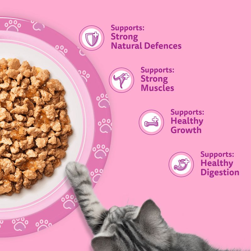 Whiskas Junior Pouches 84 x 85g