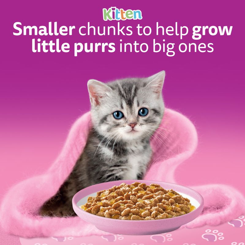 Whiskas Junior Pouches 84 x 85g