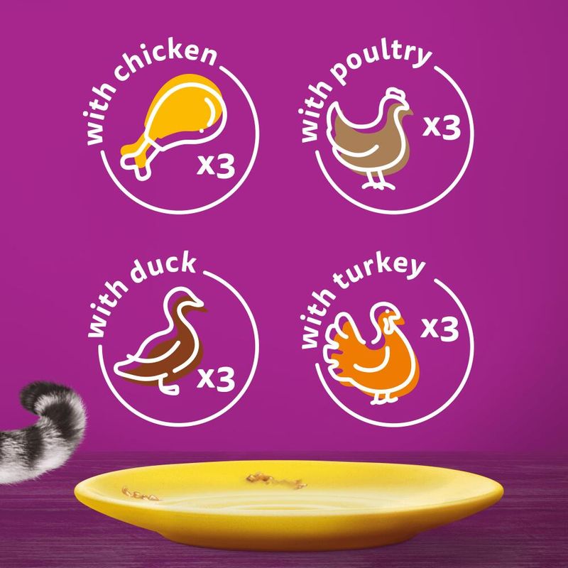 Whiskas 1+ Poultry Feasts in Gravy || undefined || view 3
