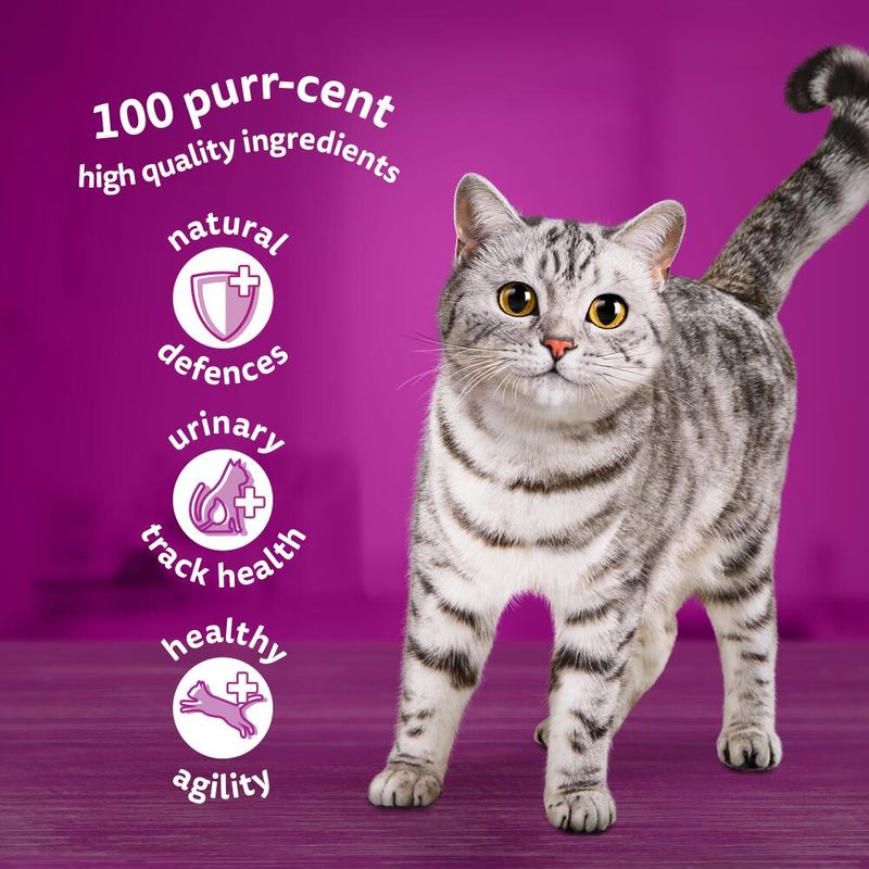 Whiskas 7+ Senior Pouches in Gravy || undefined || view 3