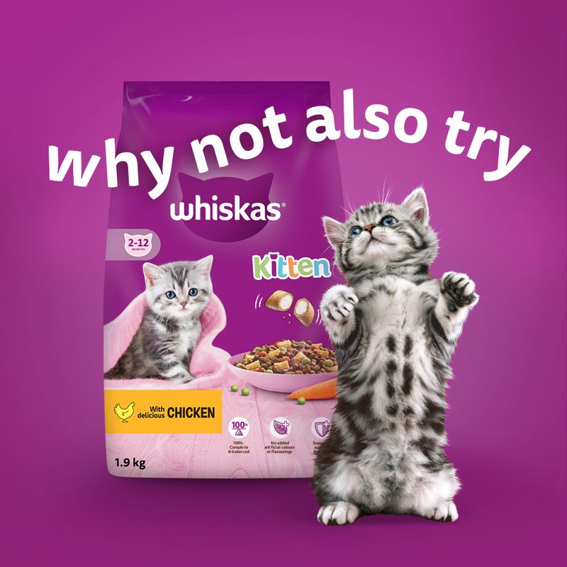 Whiskas Kitten Pouches in Jelly || undefined || view 11