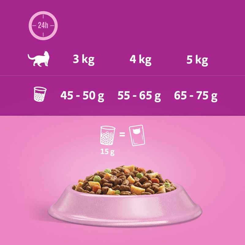 Whiskas 1+ Salmon || undefined || view 6