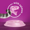 Whiskas 1+ Salmon || undefined || view 8