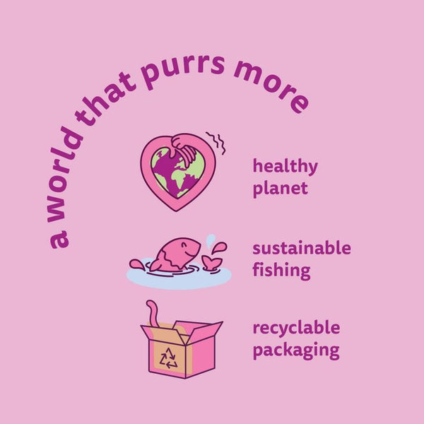 Whiskas 1+ Salmon || undefined || view 10