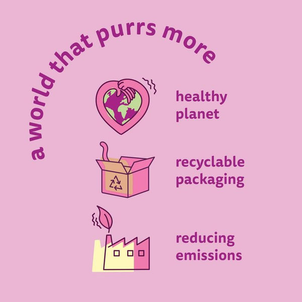 Whiskas Kitten with Chicken || Whiskas || view 19