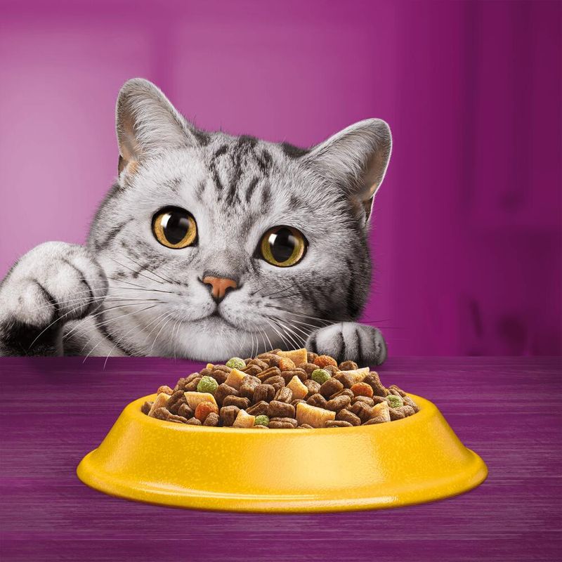 Whiskas Senior 7+ Chicken || undefined || view 8