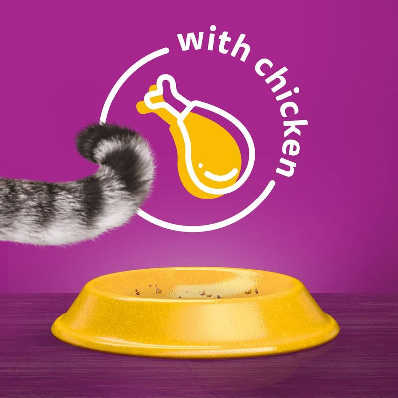 Whiskas Senior 7+ Chicken || undefined || view 2