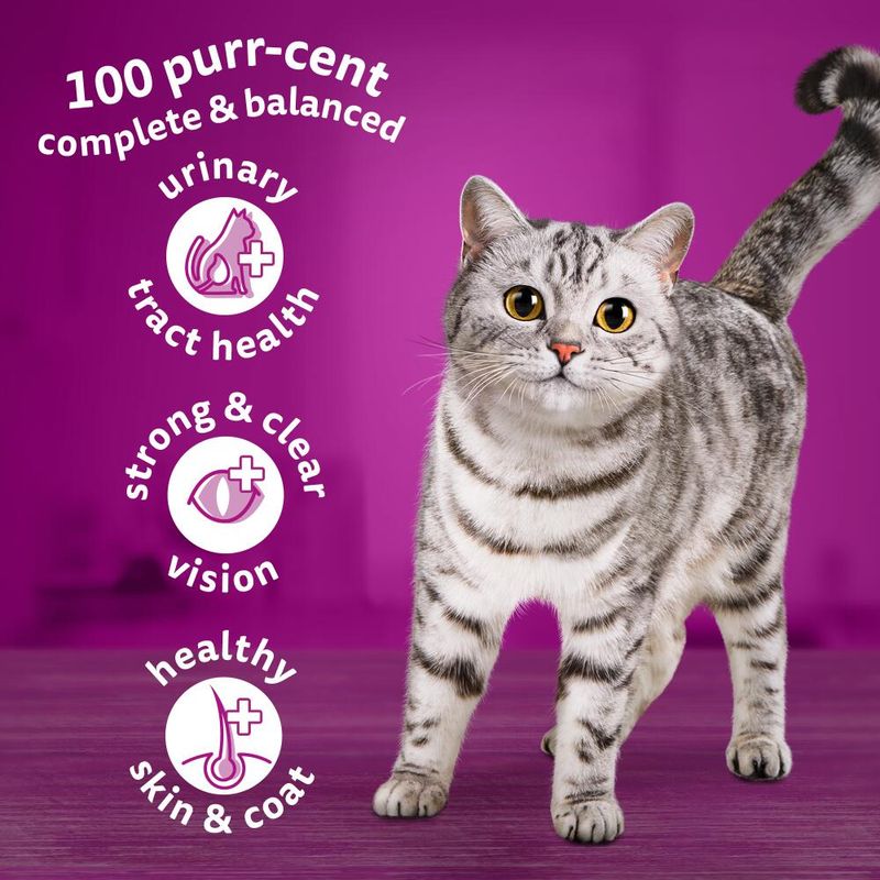 Whiskas 1+ Chicken || undefined || view 18