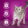 Whiskas 1+ Cans Saver Pack 24 x 400g || undefined || view 8