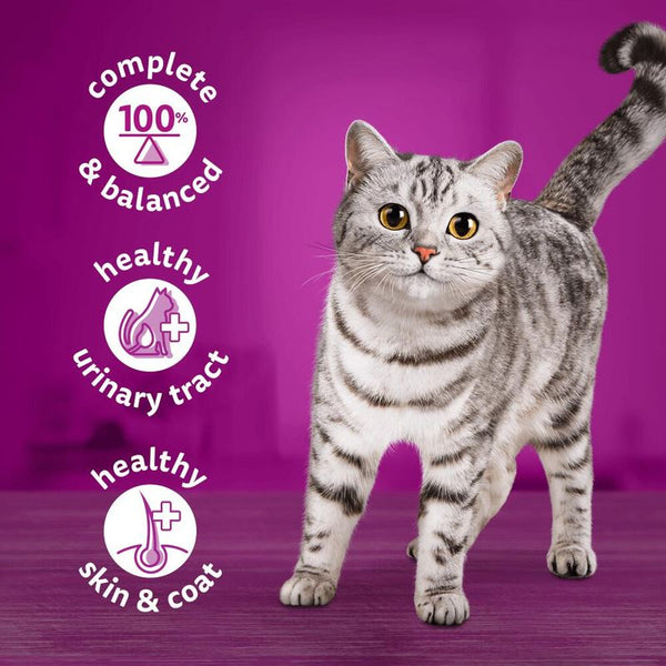 Whiskas 1+ Cans Saver Pack 24 x 400g || undefined || view 8