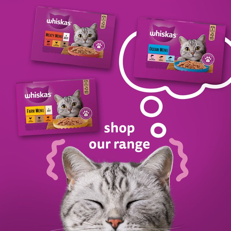 Whiskas 1+ Cans Saver Pack 24 x 400g || undefined || view 17
