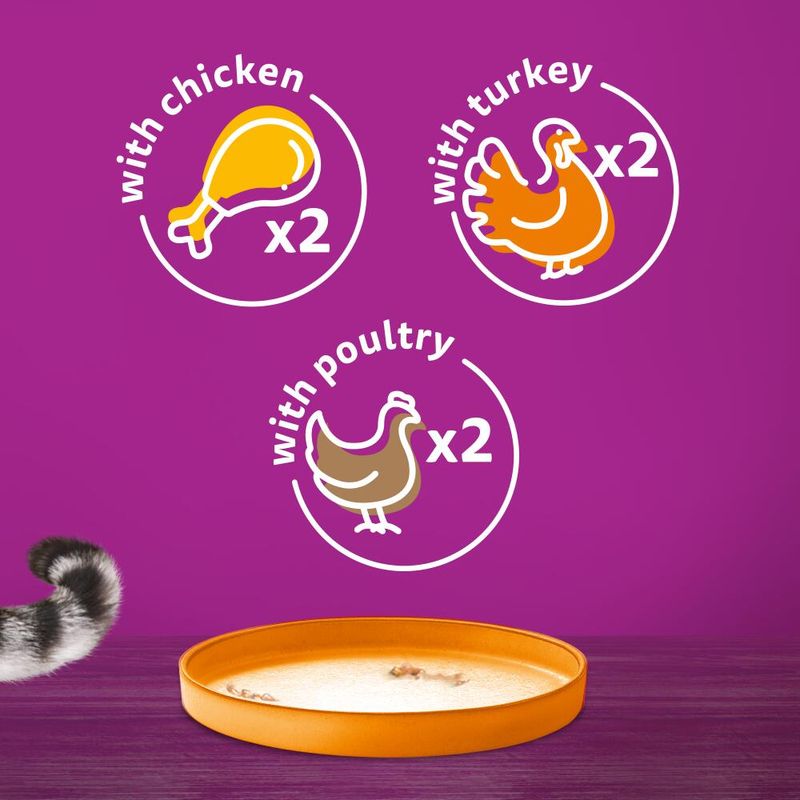 Whiskas 1+ Cans Saver Pack 24 x 400g || undefined || view 6