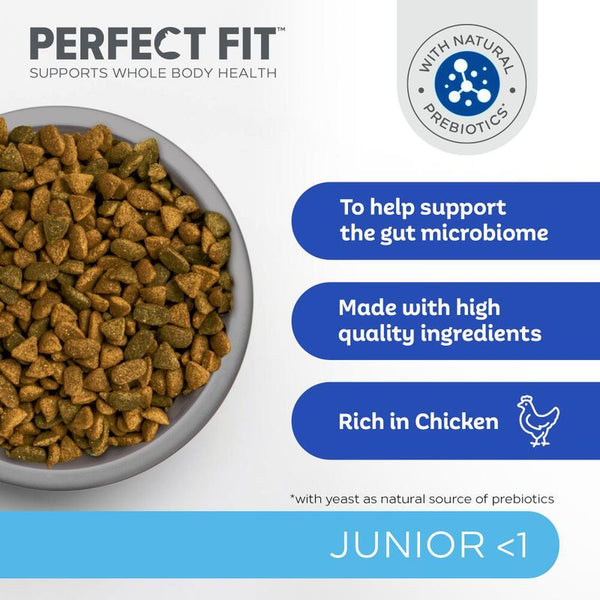Perfect Fit Junior <1 Rich in Chicken || undefined || view 6