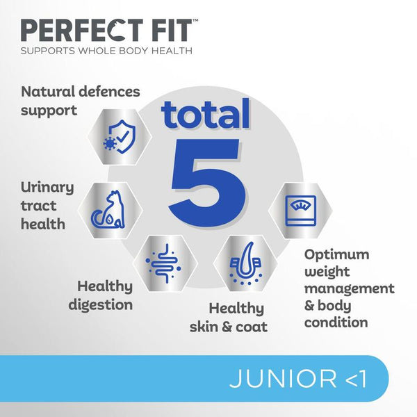 Perfect Fit Junior <1 Rich in Chicken || undefined || view 5