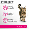 Perfect Fit Adult 1+ Rich in Chicken || undefined || view 3