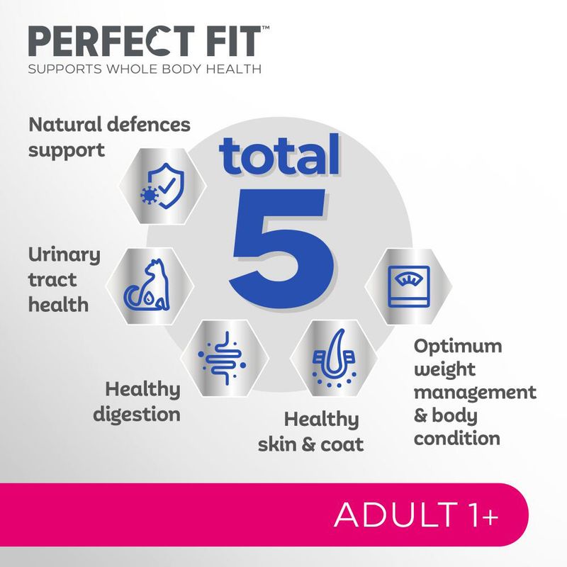 Perfect Fit Adult 1+ Rich in Chicken || undefined || view 4