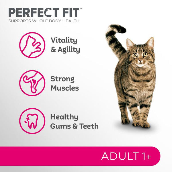 Perfect Fit Adult 1+ Rich in Salmon || undefined || view 3