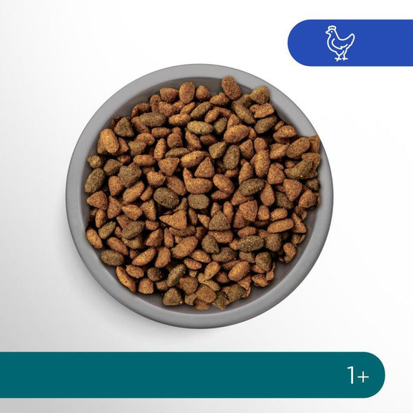 Perfect Fit Sterile 1+ Rich in Chicken || undefined || view 8