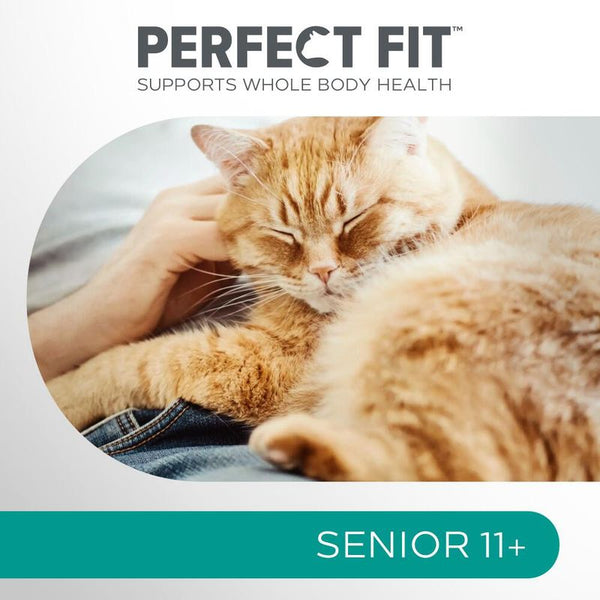Perfect Fit Senior 11+ Rich in Chicken || undefined || view 8
