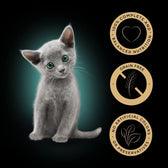 Sheba Kitten Pouches Mega Pack || Sheba || view 4