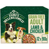James Wellbeloved Adult Hypoallergenic Grain Free Pouches - Lamb & Chicken in Gravy || James Wellbeloved || view 2