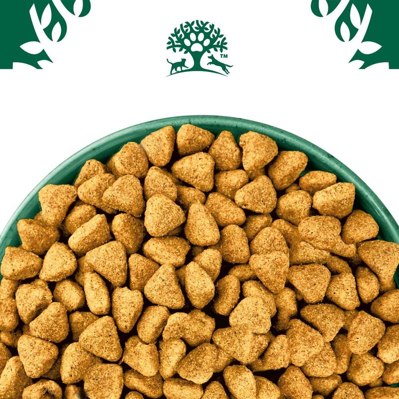 James Wellbeloved Grain Free Adult Dog Hypoallergenic Lamb & Vegetables || James Wellbeloved || view 4