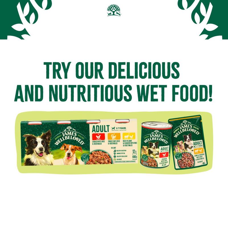 James Wellbeloved Puppy & Junior Hypoallergenic - Chicken & Rice