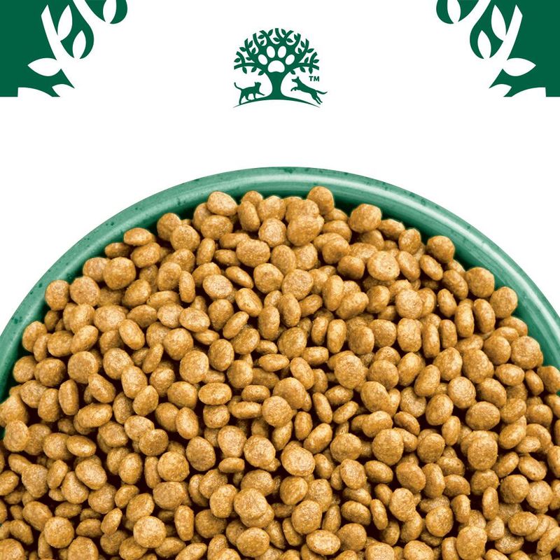 James Wellbeloved Grain Free Adult Cat Hypoallergenic Turkey​​​​​​​ || James Wellbeloved || view 8