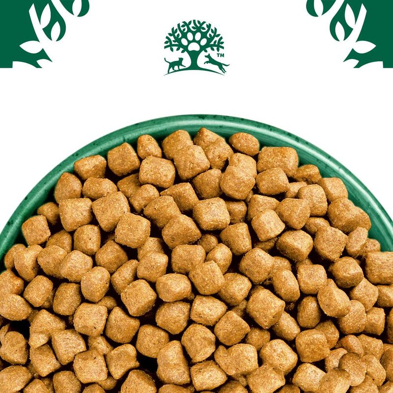 Bowl filled with square-shaped dry pet food kibble, shown close up from above.