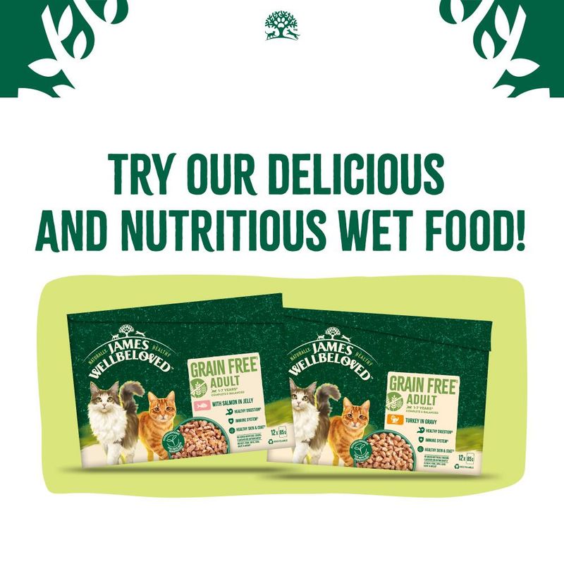 James Wellbeloved grain free adult wet food packs with visible text: 'Try our delicious and nutritious wet food!' and flavours salmon in jelly and turkey in gravy.