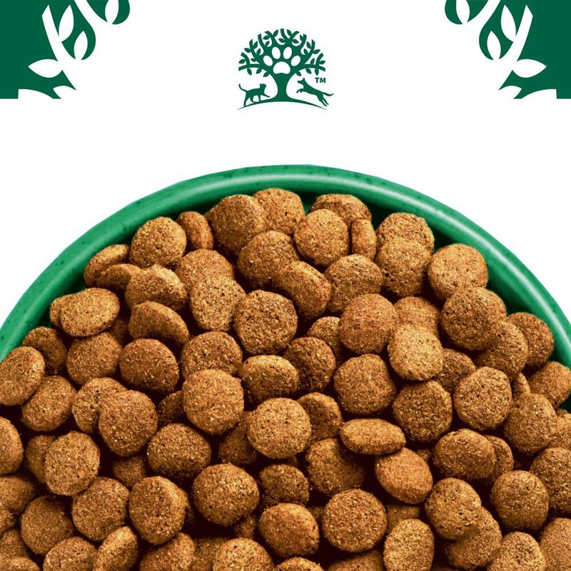 James Wellbeloved Adult Dog Hypoallergenic Plant Power Lamb & Lentils || James Wellbeloved || view 6