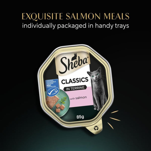 Sheba Classics Terrine Trays || Sheba || view 10