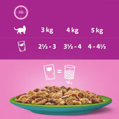 Whiskas 1+ Duo Mixed Medley in Jelly || undefined || view 6