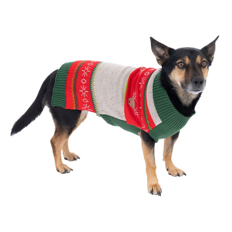 Dog wearing a knitted jumper in green, red and white with snowflake and reindeer motifs.