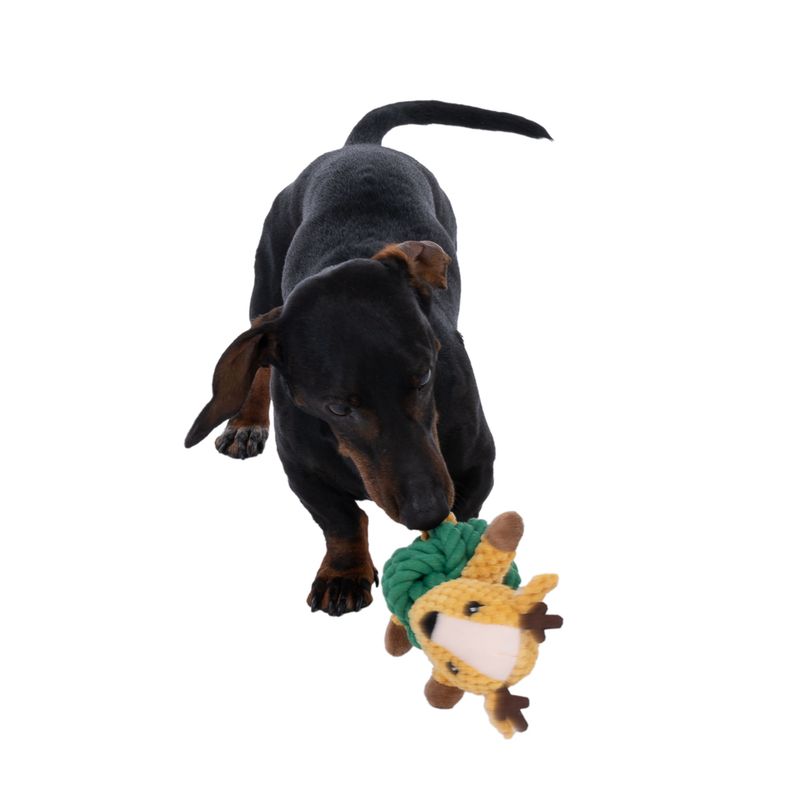 Dog playing with a yellow-green fabric toy in the shape of an animal.