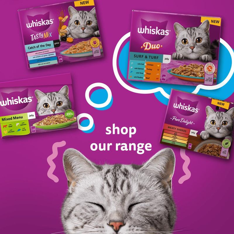 Whiskas 1+ Fish Favourites in Jelly || undefined || view 10