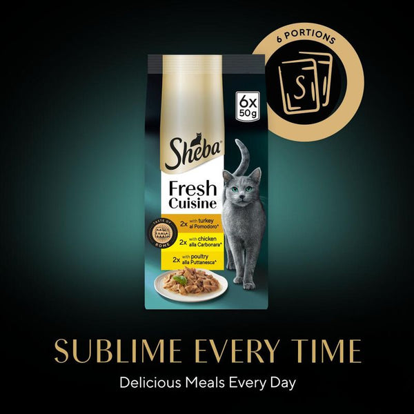 Sheba Fresh Cuisine Taste of Rome || undefined || view 6