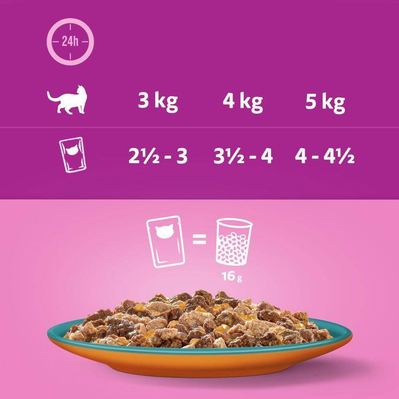 Whiskas 1+ Duo Surf & Turf in Jelly || undefined || view 7