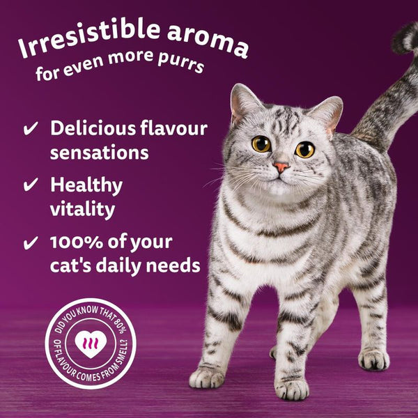 Whiskas 1+ Aromatic Selection Seafood Delight in Gravy || Whiskas || view 3