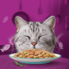Whiskas 1+ Aromatic Selection Seafood Delight in Gravy || Whiskas || view 4