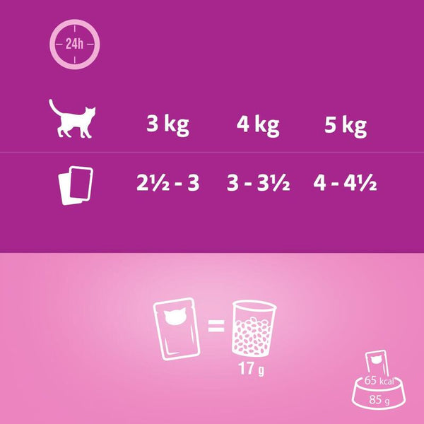 Whiskas 1+ Aromatic Selection Seafood Delight in Gravy || Whiskas || view 5