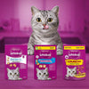 Whiskas Temptations 60g || undefined || view 18