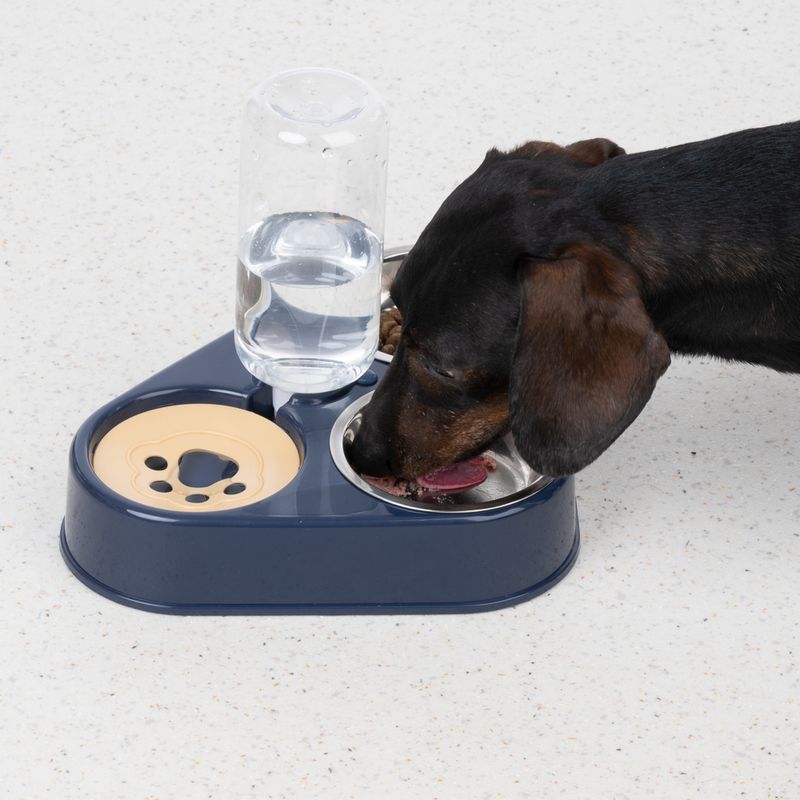 Dog eating from a blue food and water bowl with integrated bottle holder. Shows product in use.